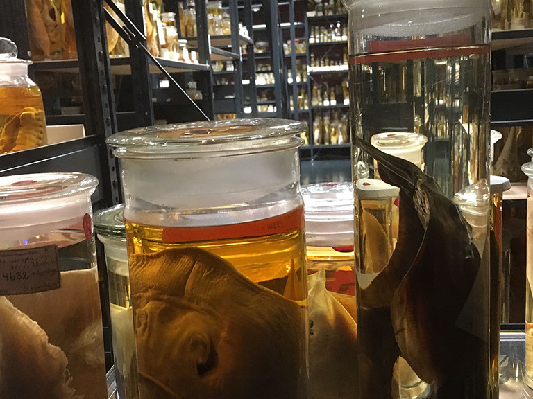 As a fixer and local producer, Lars von Lennep is taking care for filming permissions. 